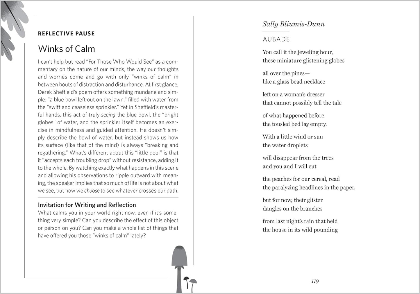 The Wonder of Small Things: Poems of Peace and Renewal by James Crewes Poem WInks of Calm