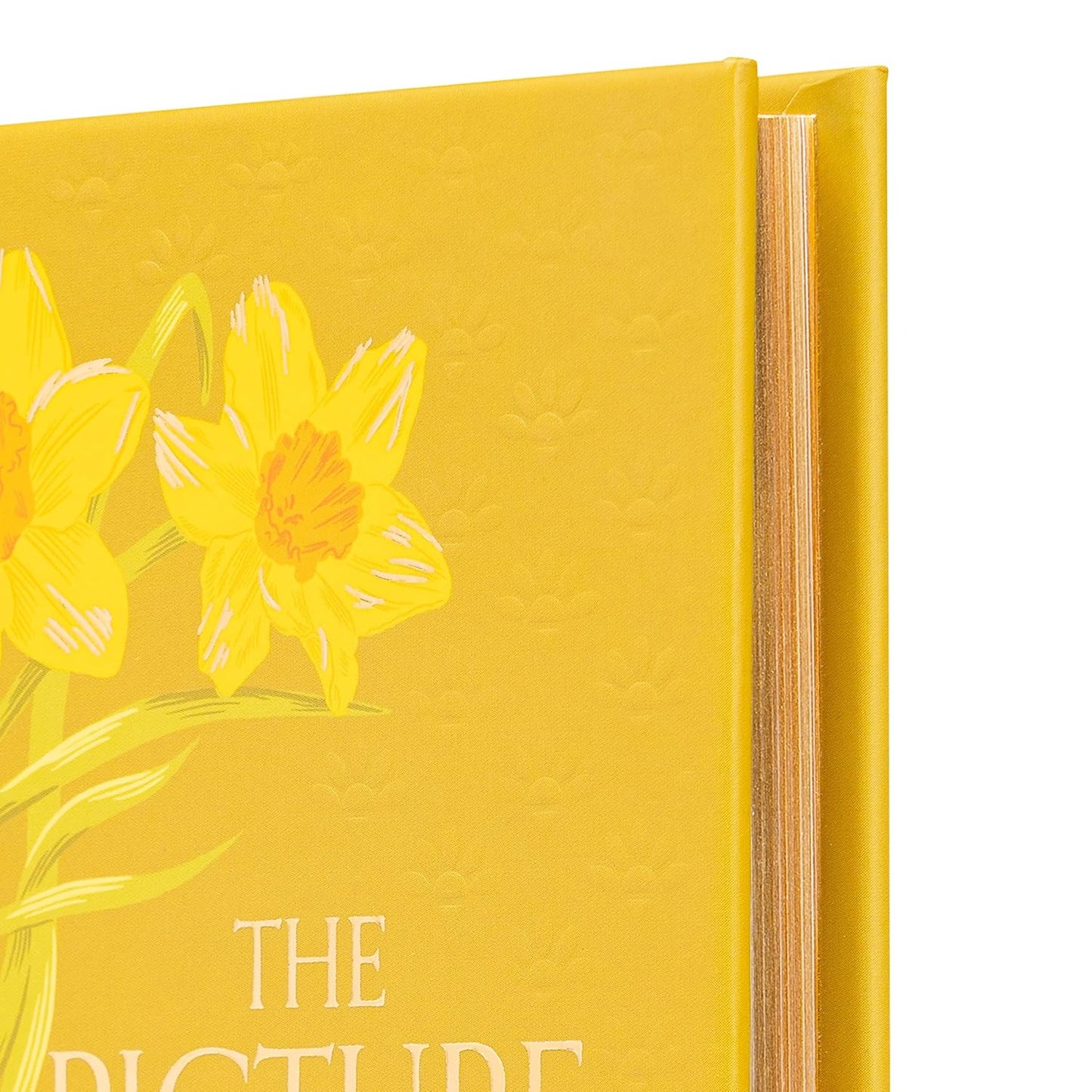 The Picture of Dorian Gray - Signature Gilded Classics - gilded edges