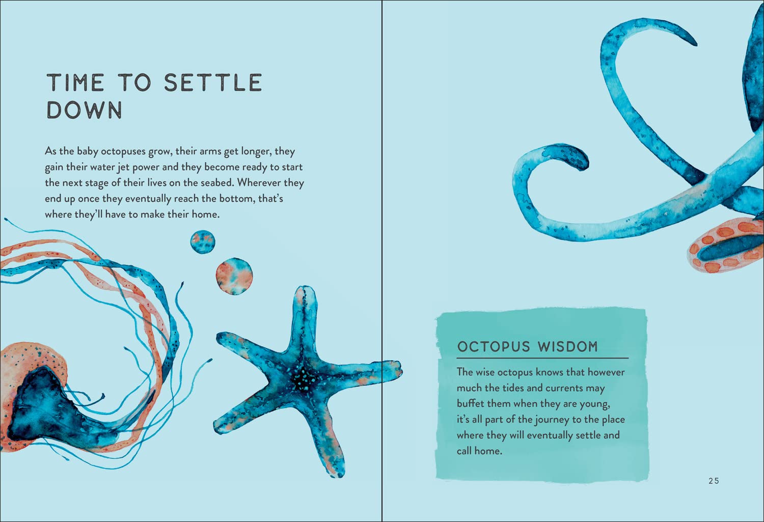Weird Is B 2autiful: The Wisdom of Octopuses (HB) inside book2