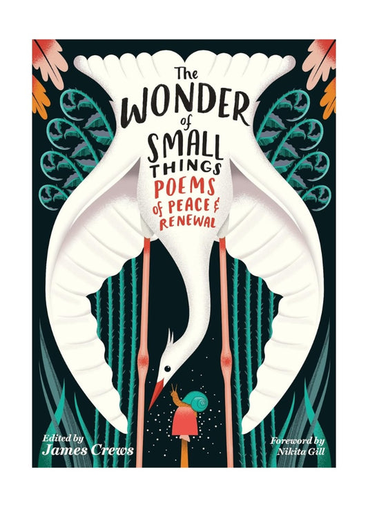 The Wonder of Small Things: Poems of Peace and Renewal by James Crewes (PB)